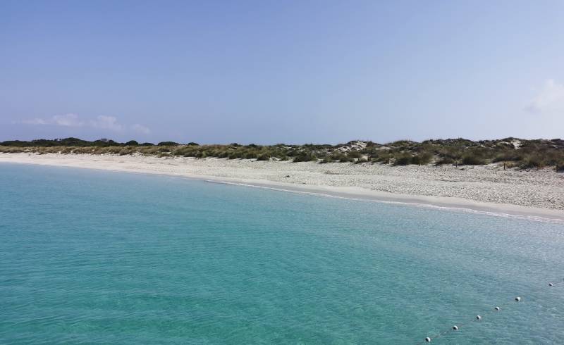 Foto af Platja Es Cavallet - Es Cavallet Beach med lys fint sand overflade