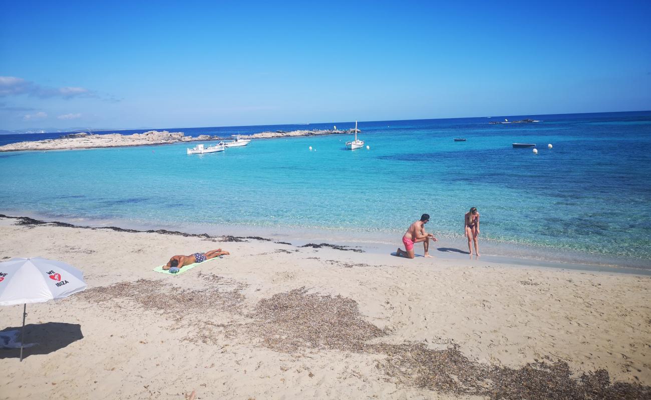 Foto af Platja de la Torreta med hvidt fint sand overflade