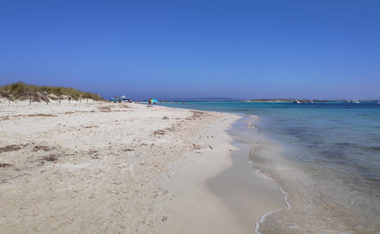 Foto af Platja de S'Alga med hvidt fint sand overflade