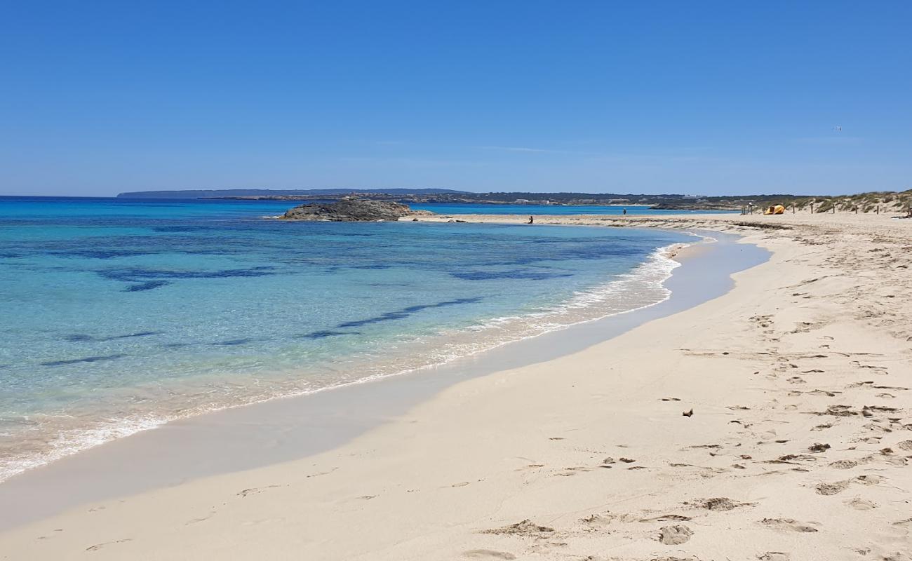 Foto af Playa des Trucadors med hvidt fint sand overflade