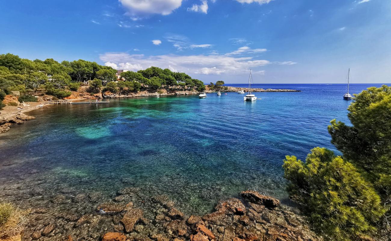 Foto af Platja de Mardavall med sten overflade