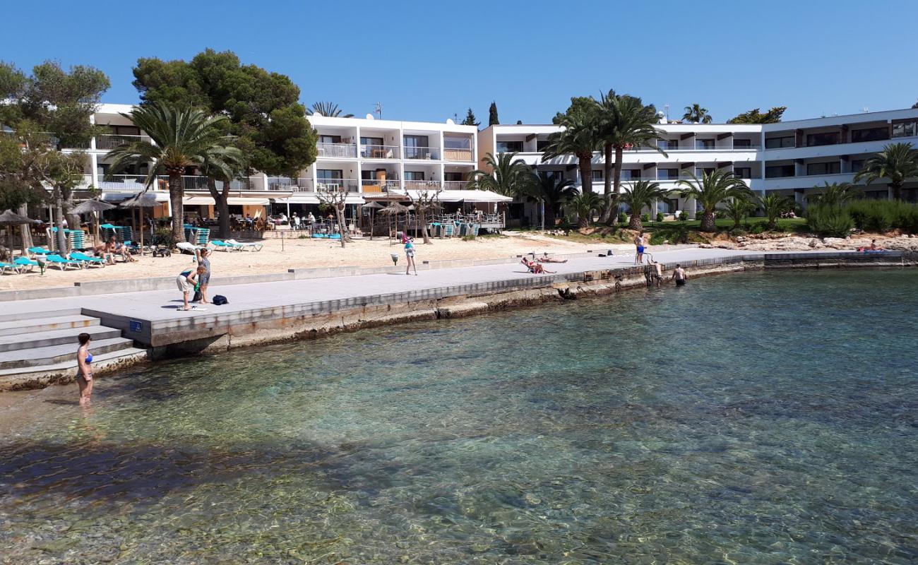 Foto af Son Caliu Beach med betonovertræk overflade