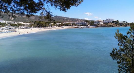 Porto Novo Strand