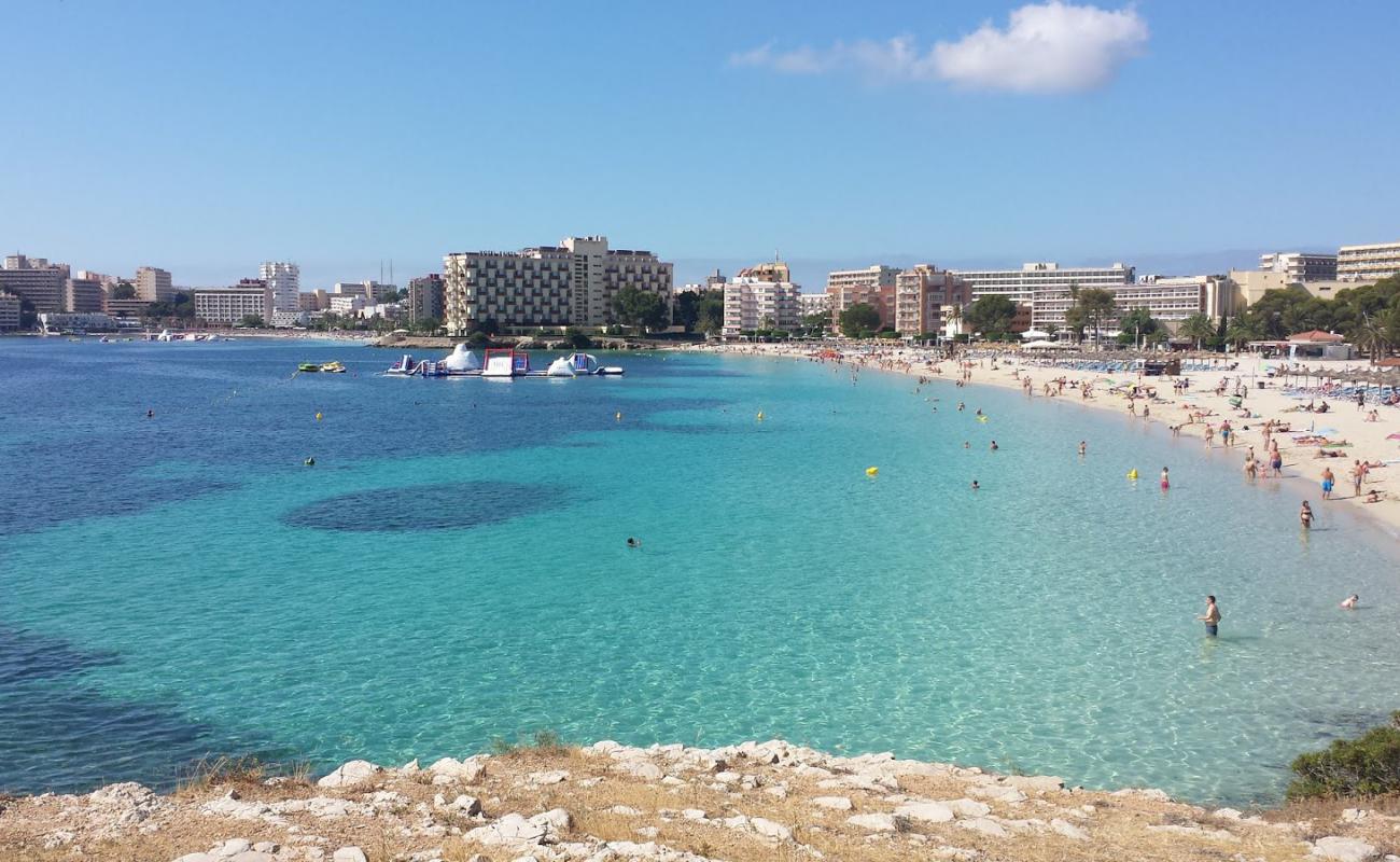 Foto af Palmanova Strand II med lys fint sand overflade