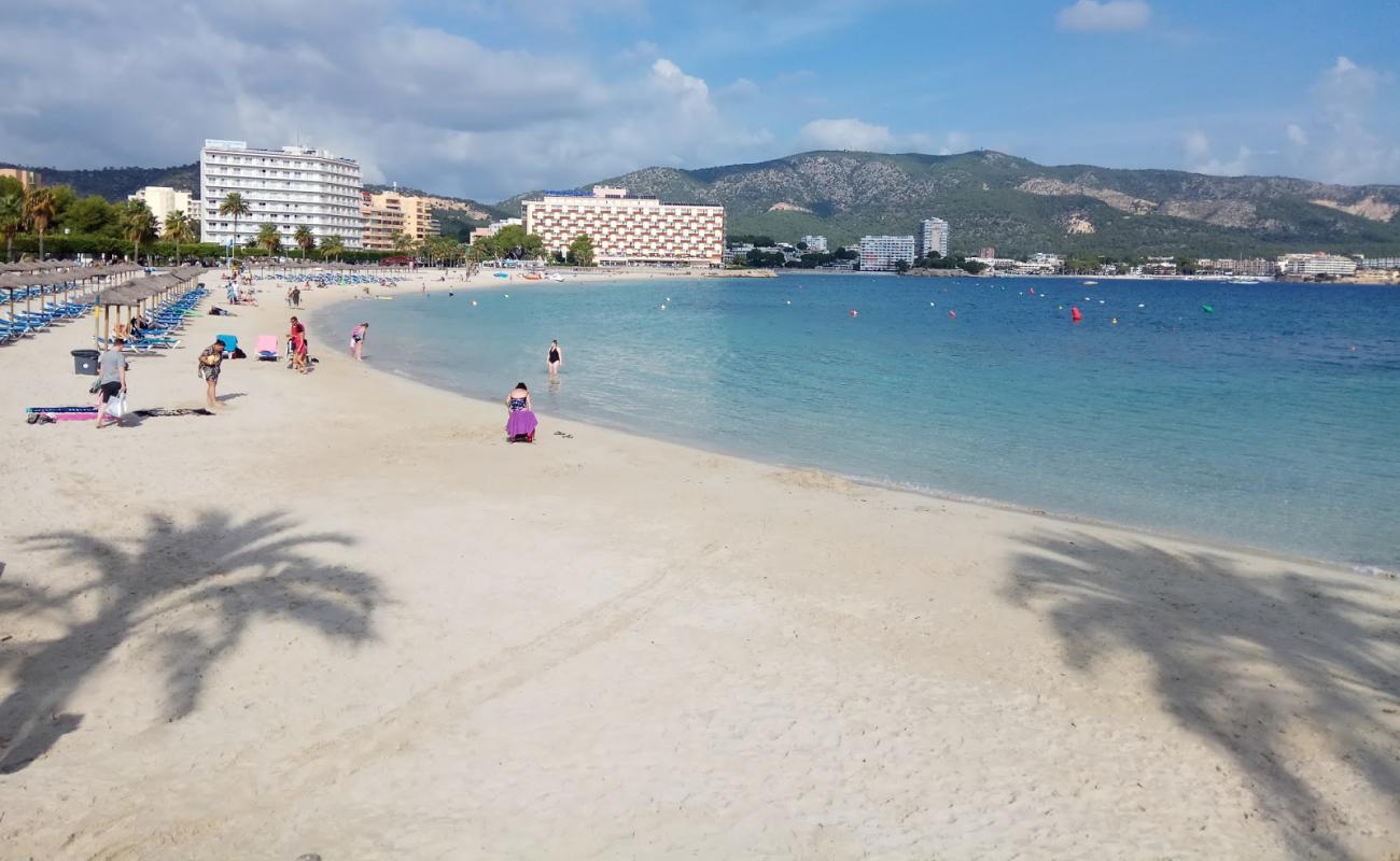 Foto af Palmanova Strand med lys fint sand overflade