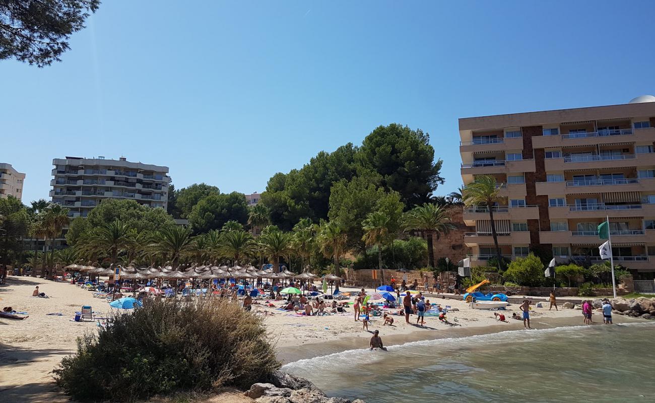 Foto af Playa Cala Vinyes med lys fint sand overflade