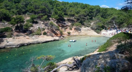 Cala Cap Falco