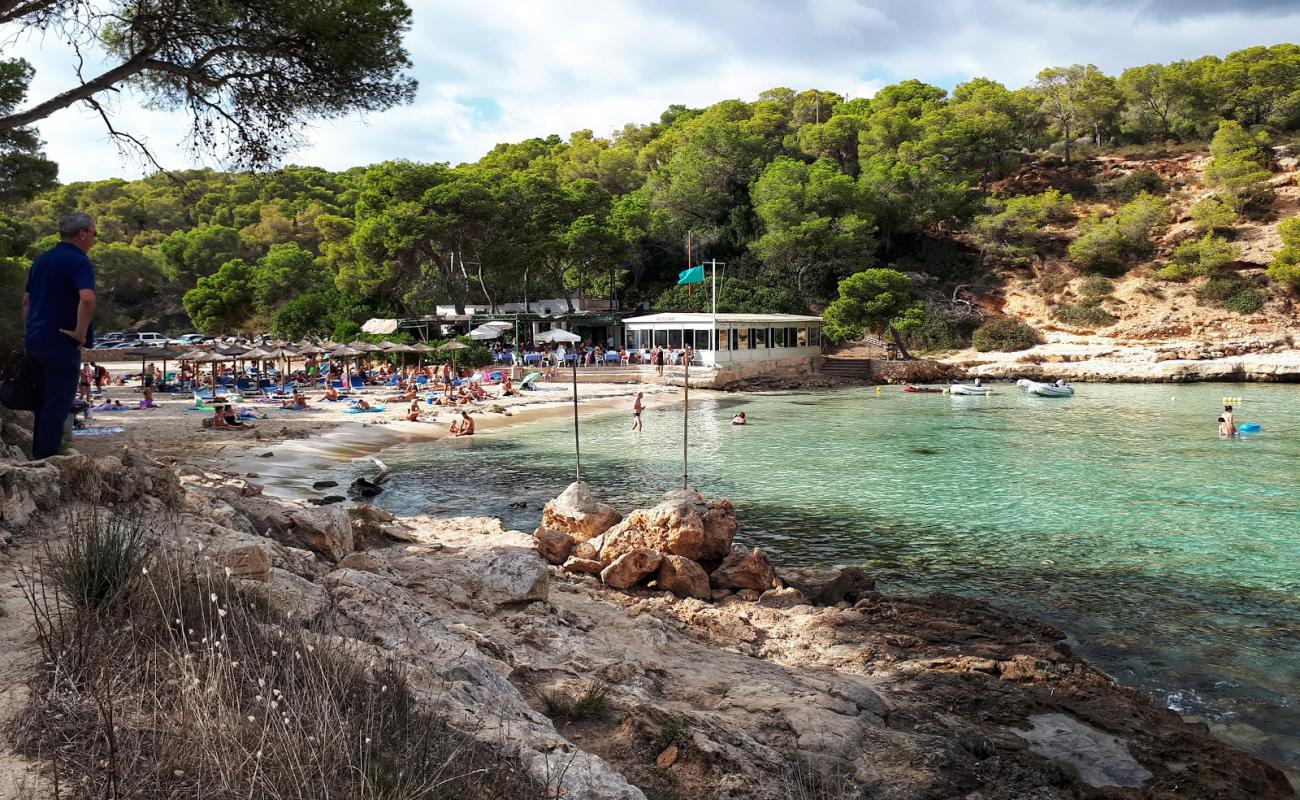 Foto af Cala Portals Vells med lys fint sand overflade