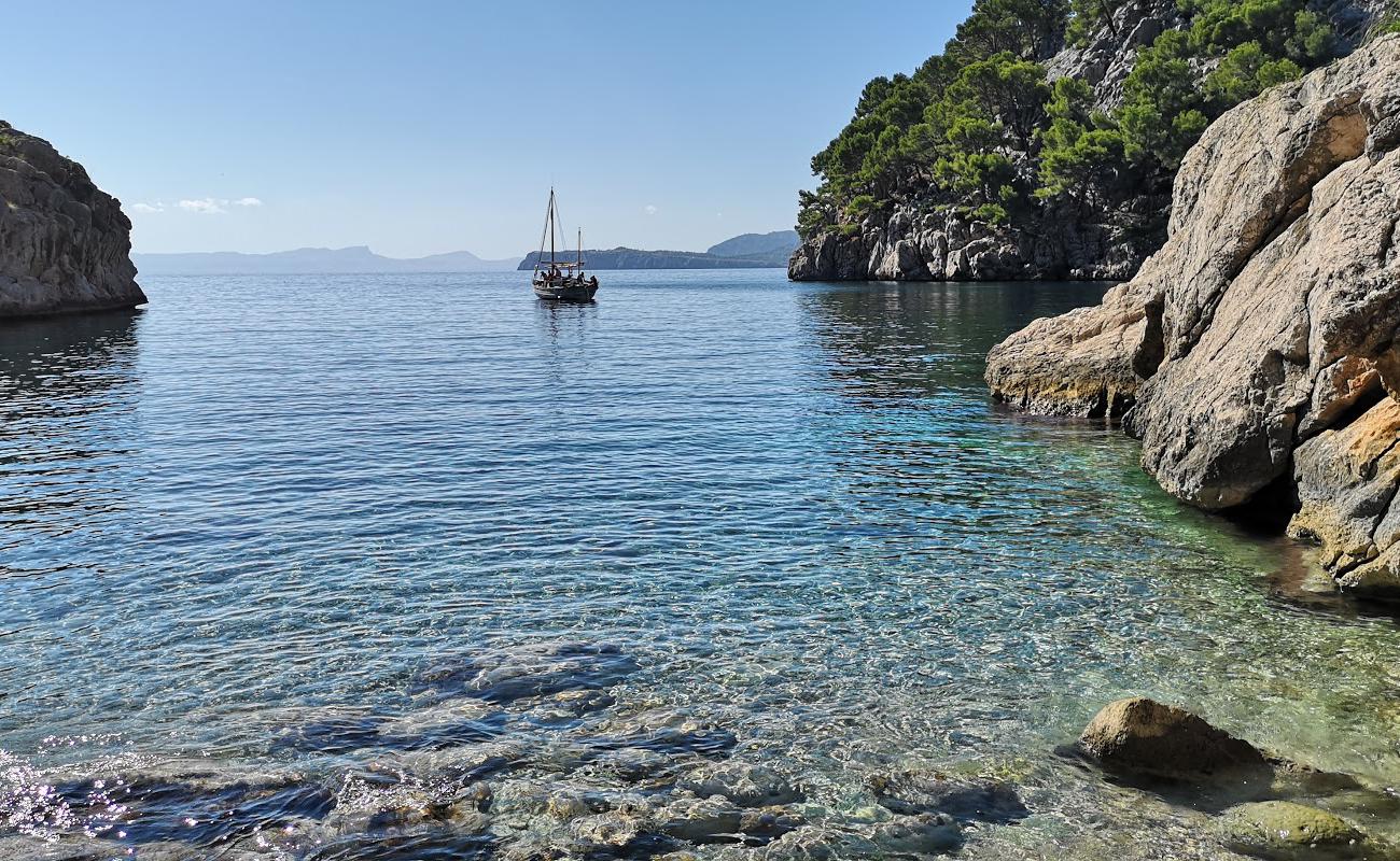 Foto af Cala en Gossalba med sten overflade