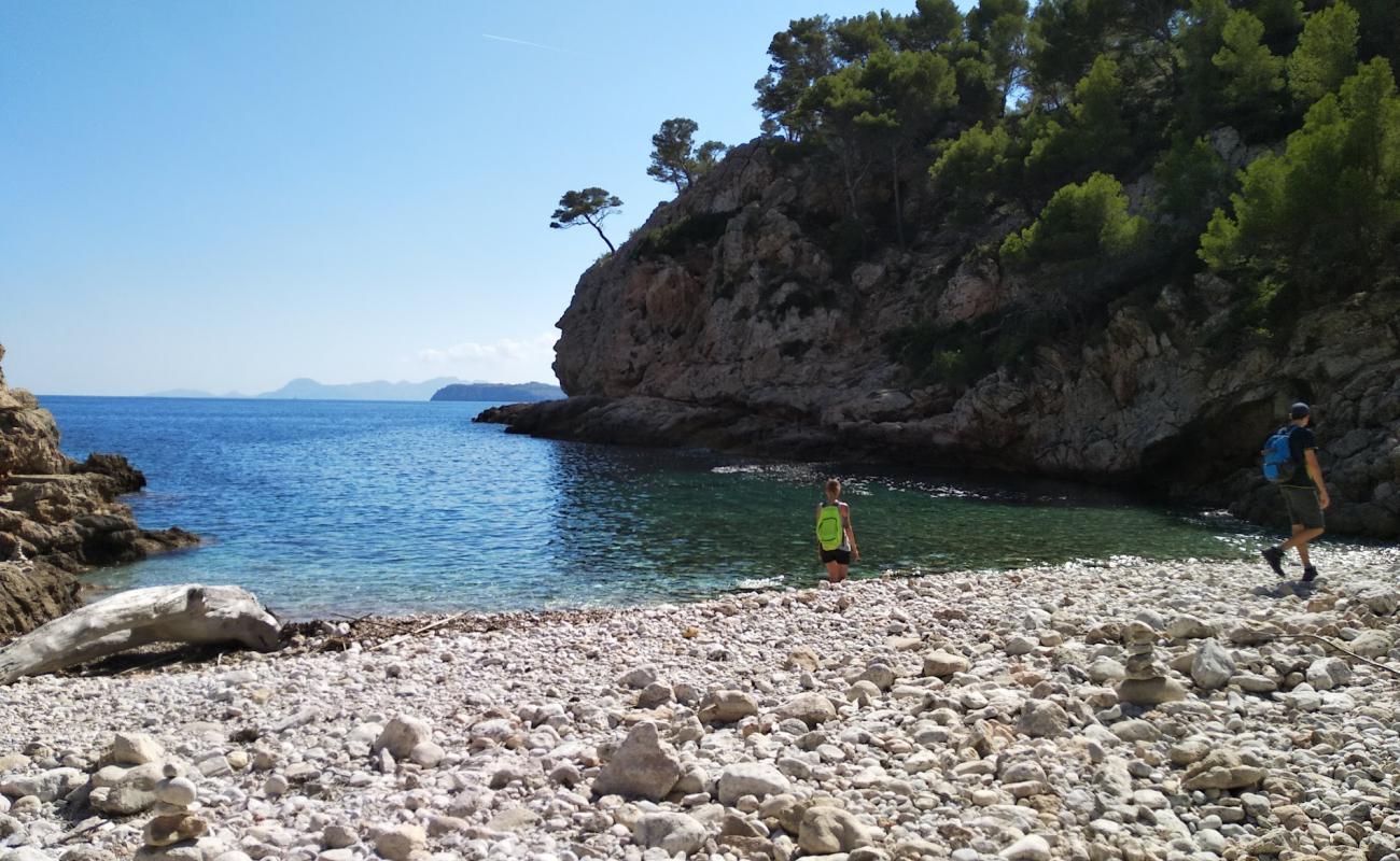 Foto af Cala en Feliu Beach med sten overflade