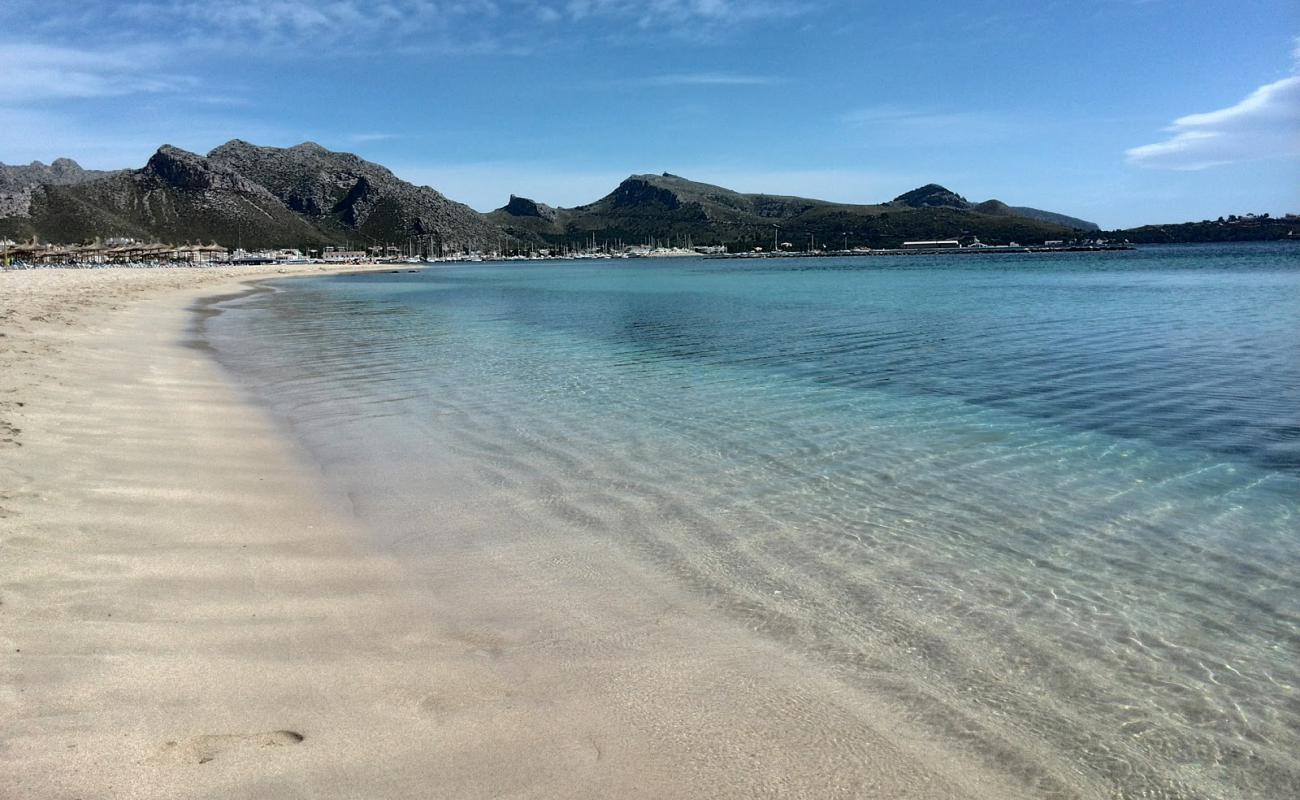 Foto af Pollenca Strand med lys fint sand overflade