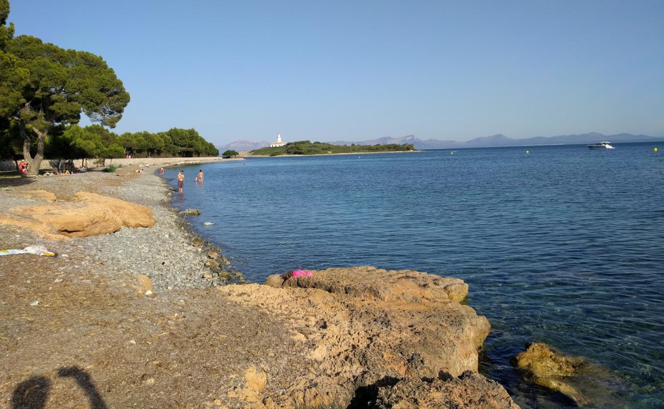 Foto af Platja d'Alcanada med grå sten overflade