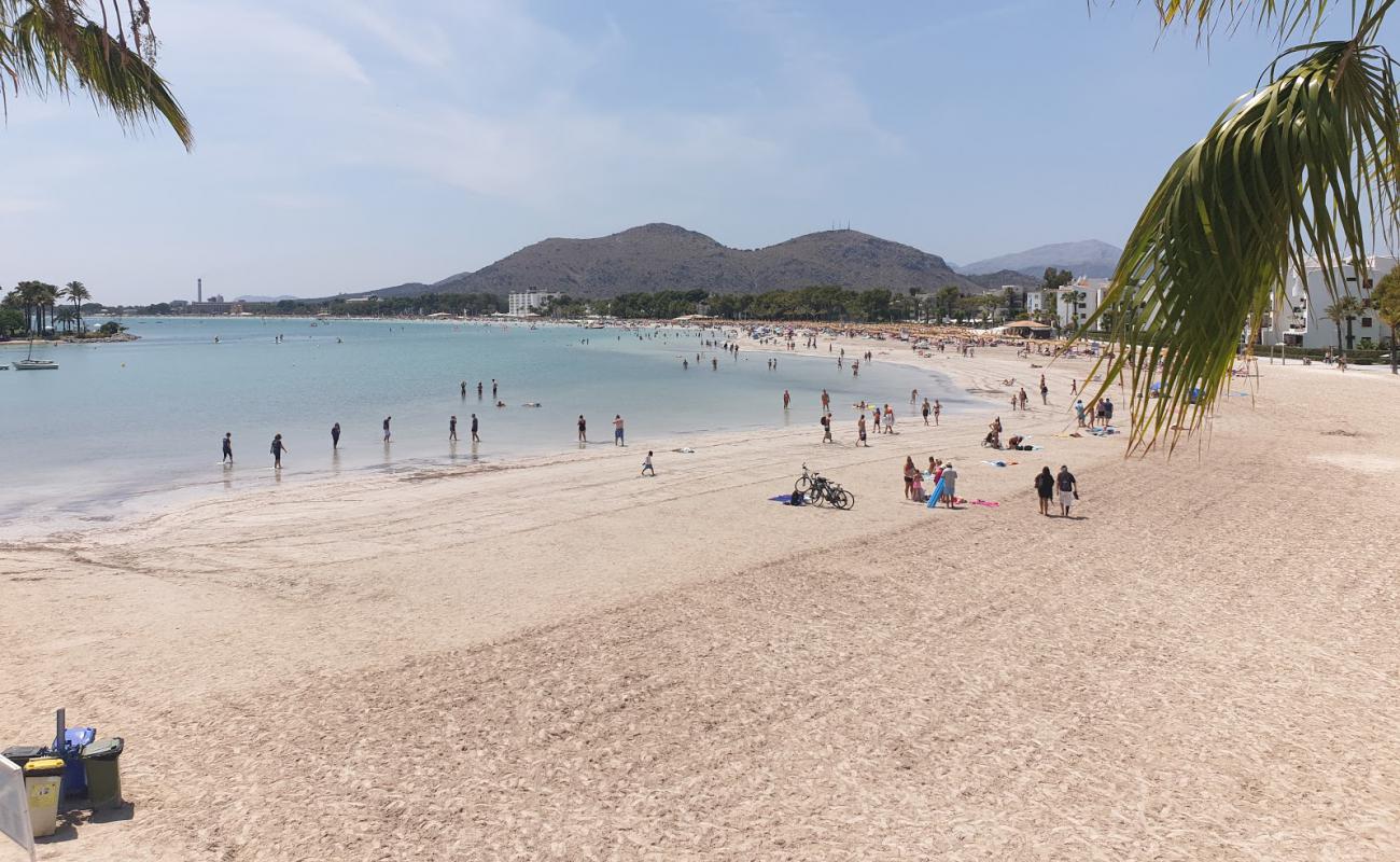 Foto af Alcudia Strand med lys fint sand overflade