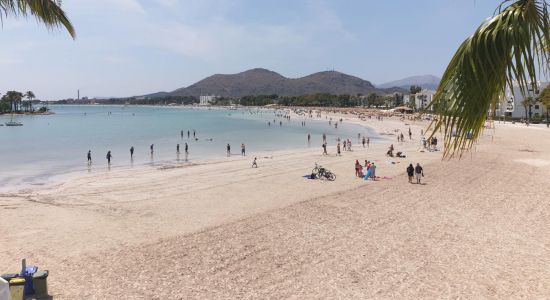 Alcudia Strand