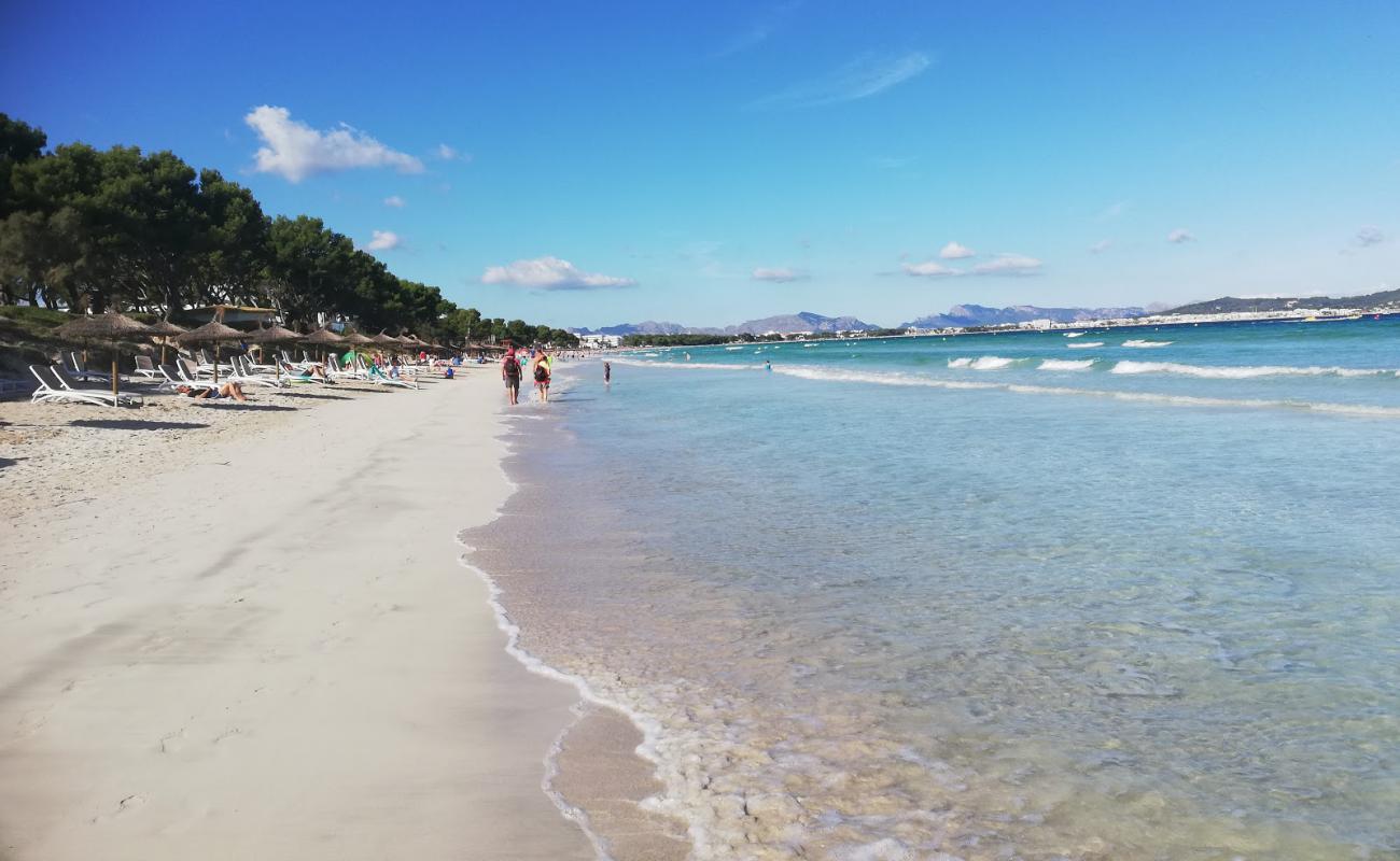 Foto af Alcudia Beach 2 med lys fint sand overflade