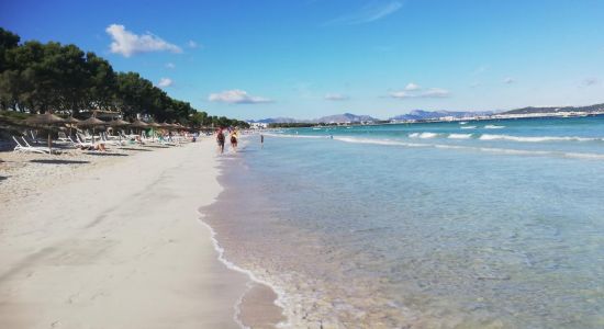 Alcudia Beach 2