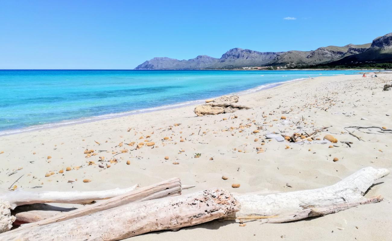 Foto af S'Arenal beach med lys fint sand overflade