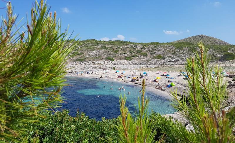 Foto af Cala Mitjana med lys sand overflade