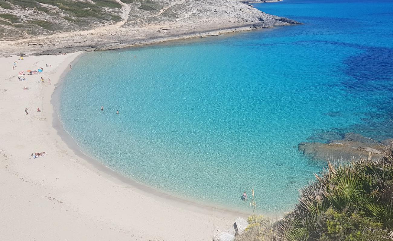 Foto af Cala Torta med lys fint sand overflade