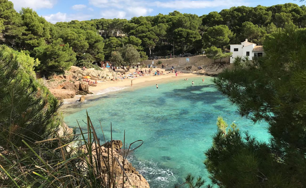 Foto af Stranden Cala Gat med lys fint sand overflade