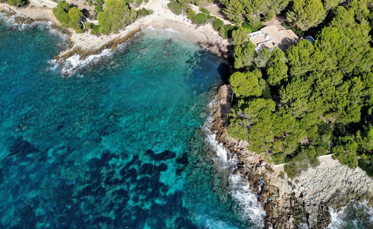 Foto af Cala Font De Sa Cala II med lys sand overflade