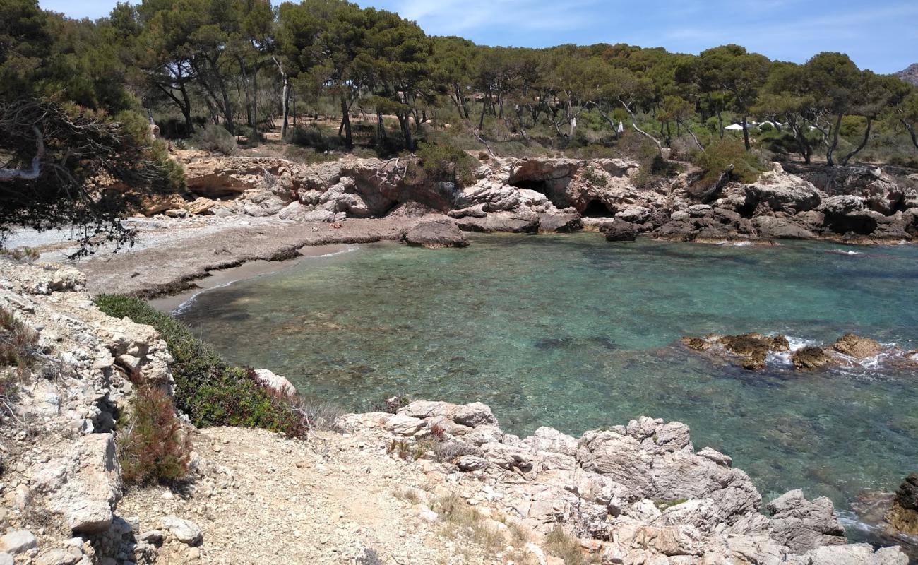 Foto af Cala Auberdans med brun fin sten overflade