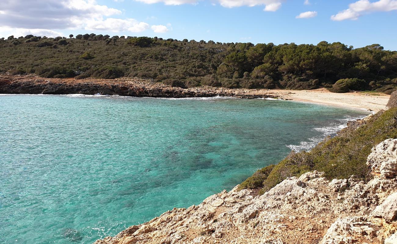 Foto af Cala Varques med lys fint sand overflade