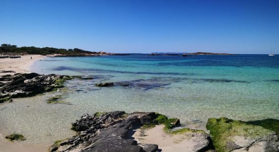 Playa De Sa Roquetas