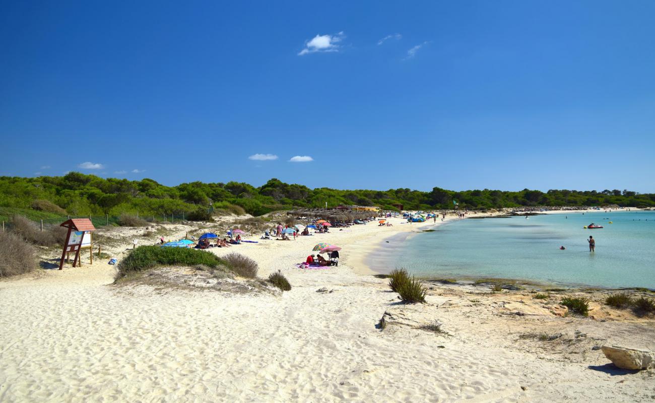 Foto af Dolc Strand med lys fint sand overflade