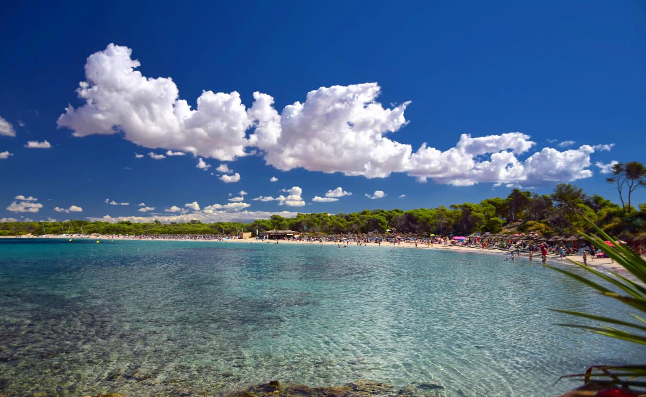 Foto af Moli de s'Estany Strand med lys fint sand overflade