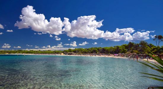 Moli de s'Estany Strand