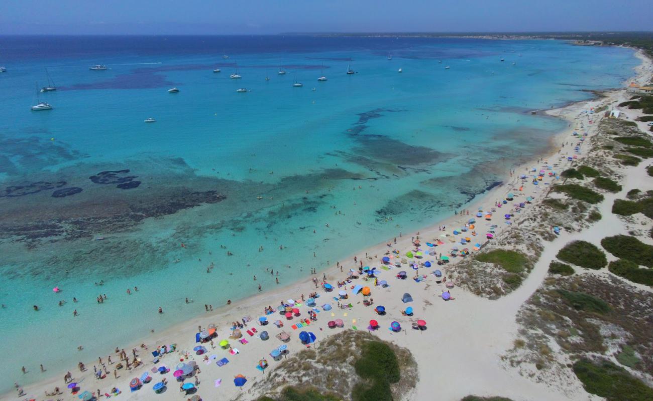 Foto af Platja Des Trenc med hvidt fint sand overflade