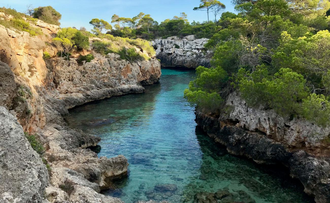 Foto af Cala Beltran med sten overflade