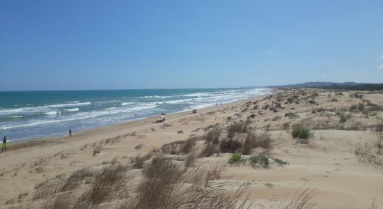 Playa de El Pinet