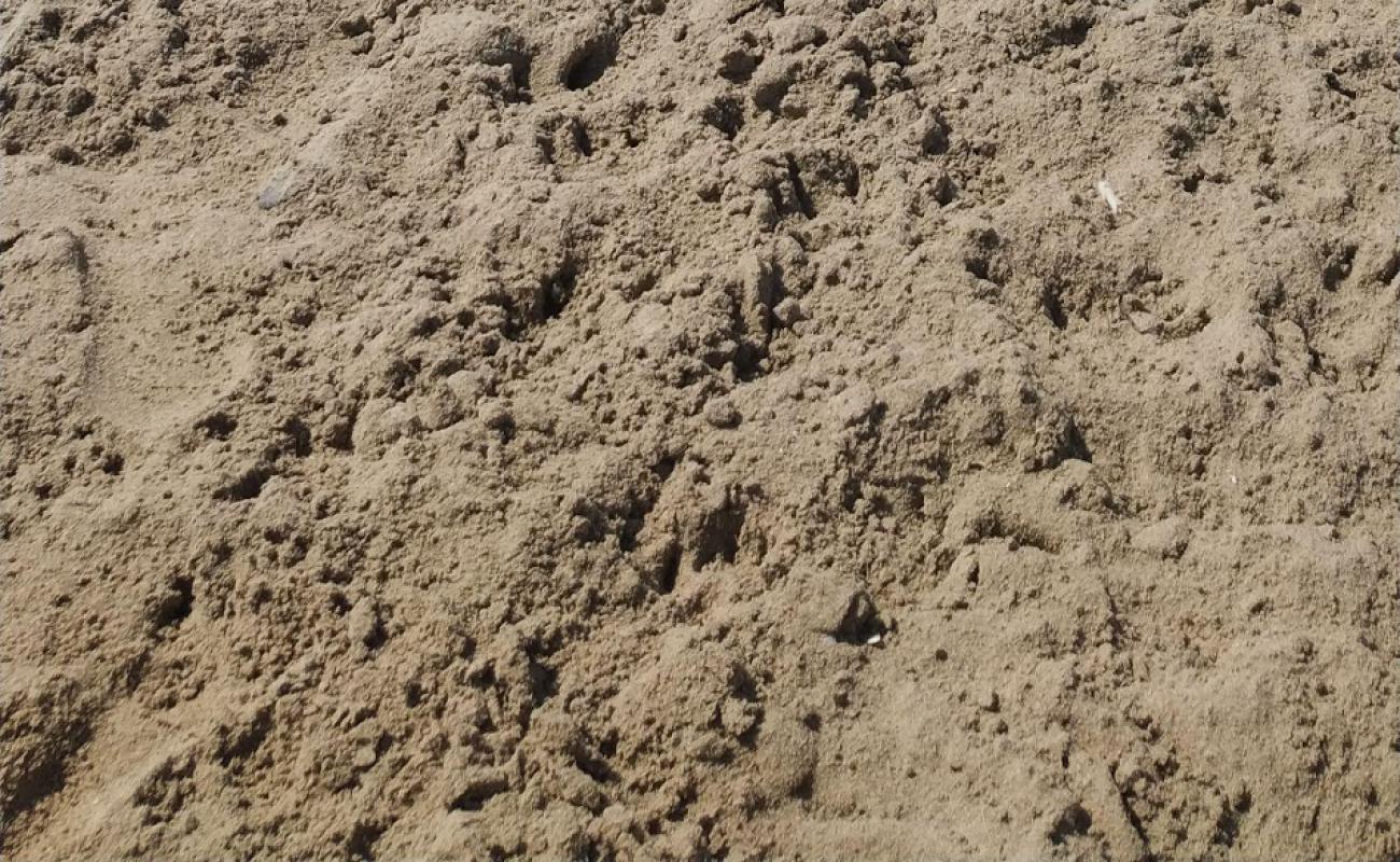 Foto af Playa de Canet med brunt sand overflade