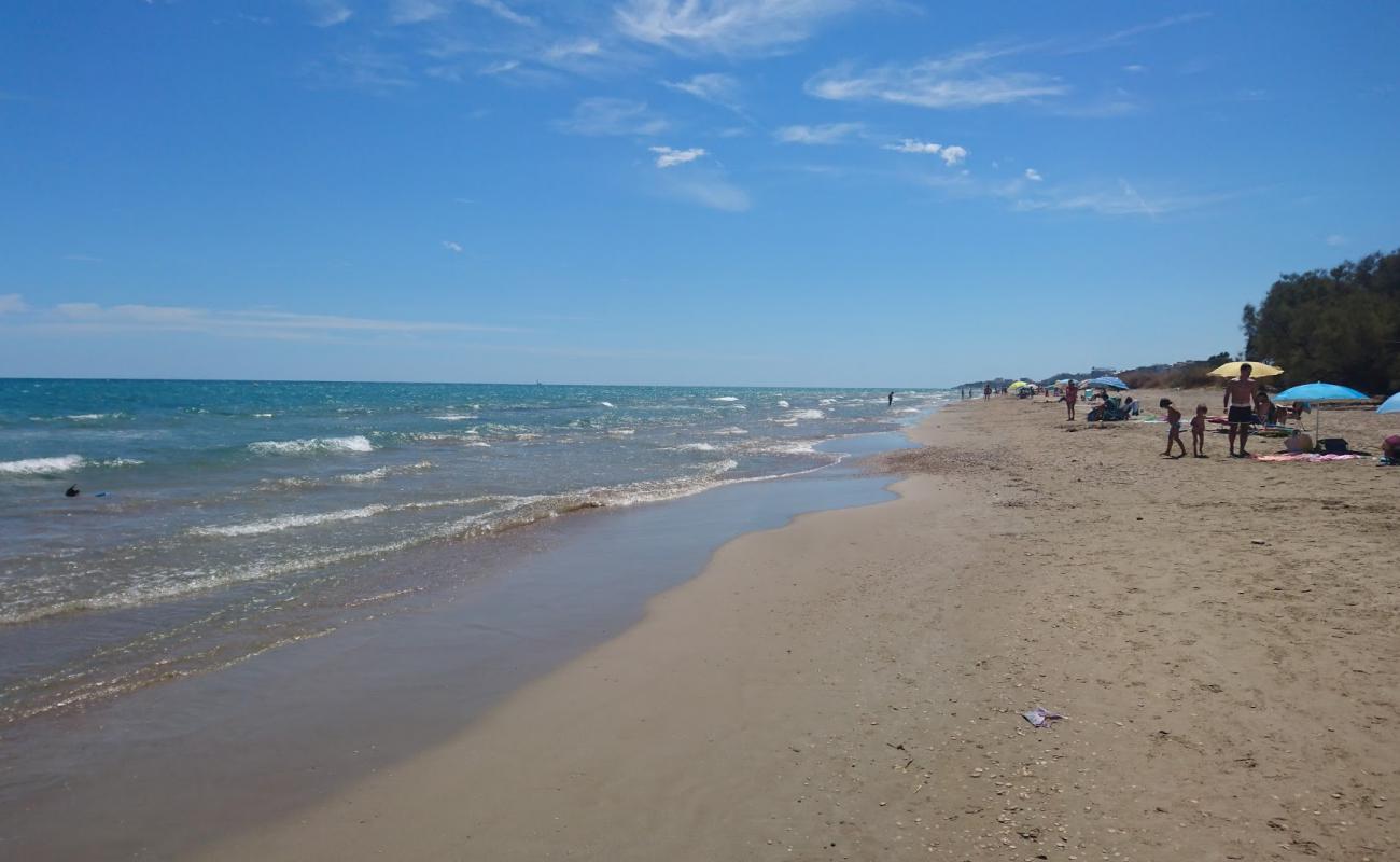 Foto af Playa de Torrenostra med brunt sand overflade