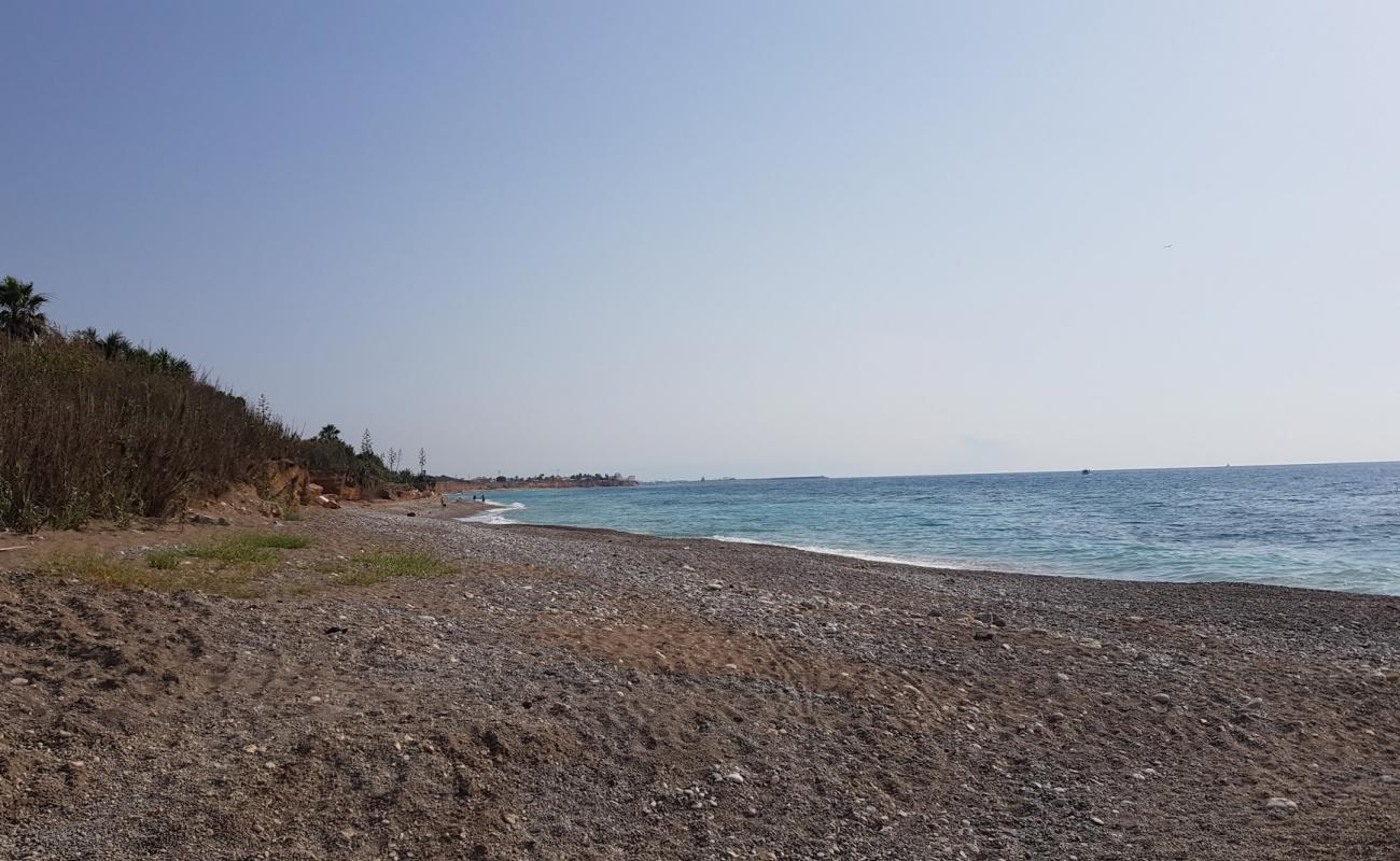 Foto af Playa Perrochos med grå sten overflade