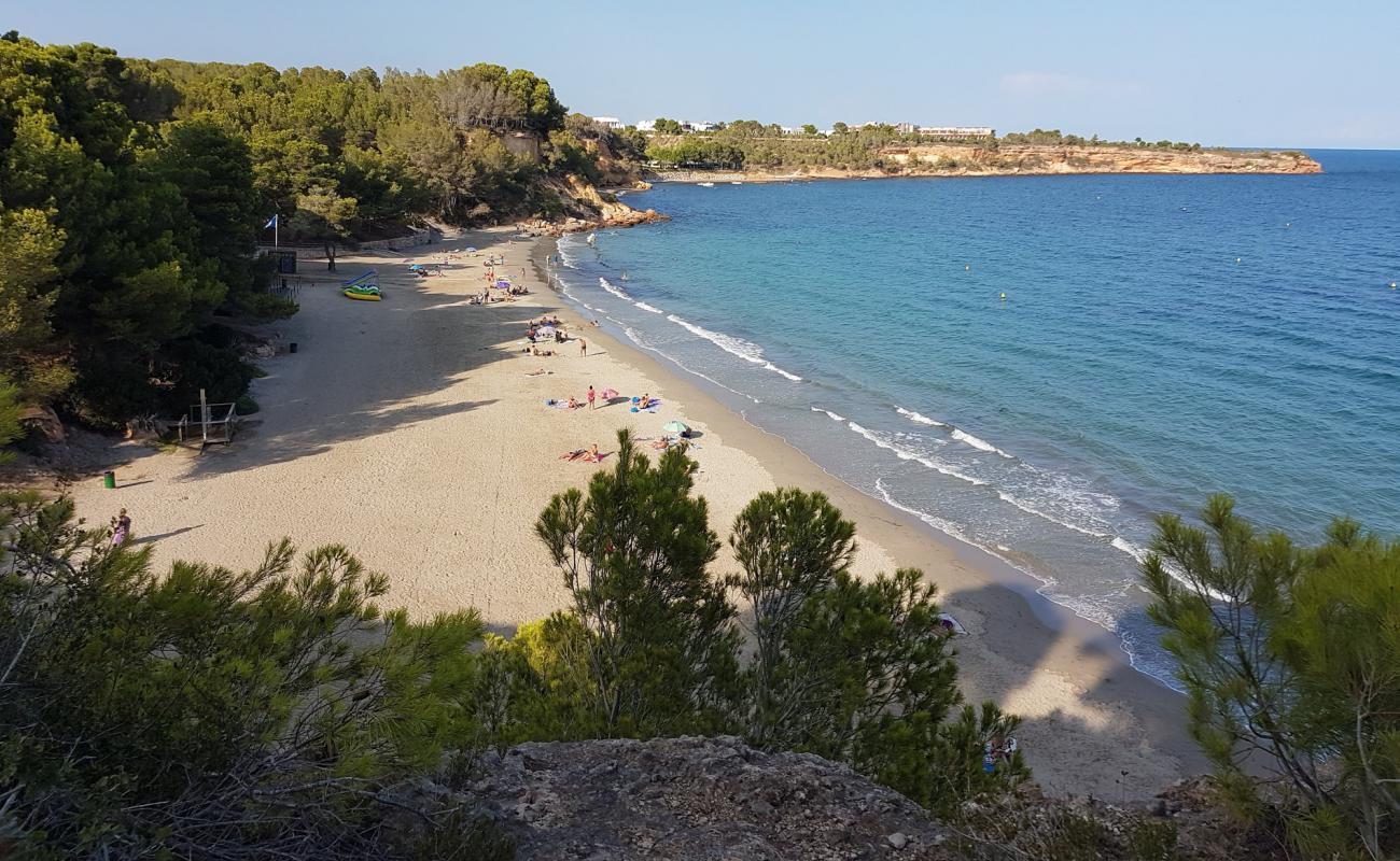 Foto af Platja Cap Roig med lys sand overflade