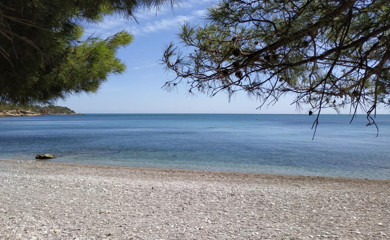 Foto af Platja de l'Aliga med brun fin sten overflade