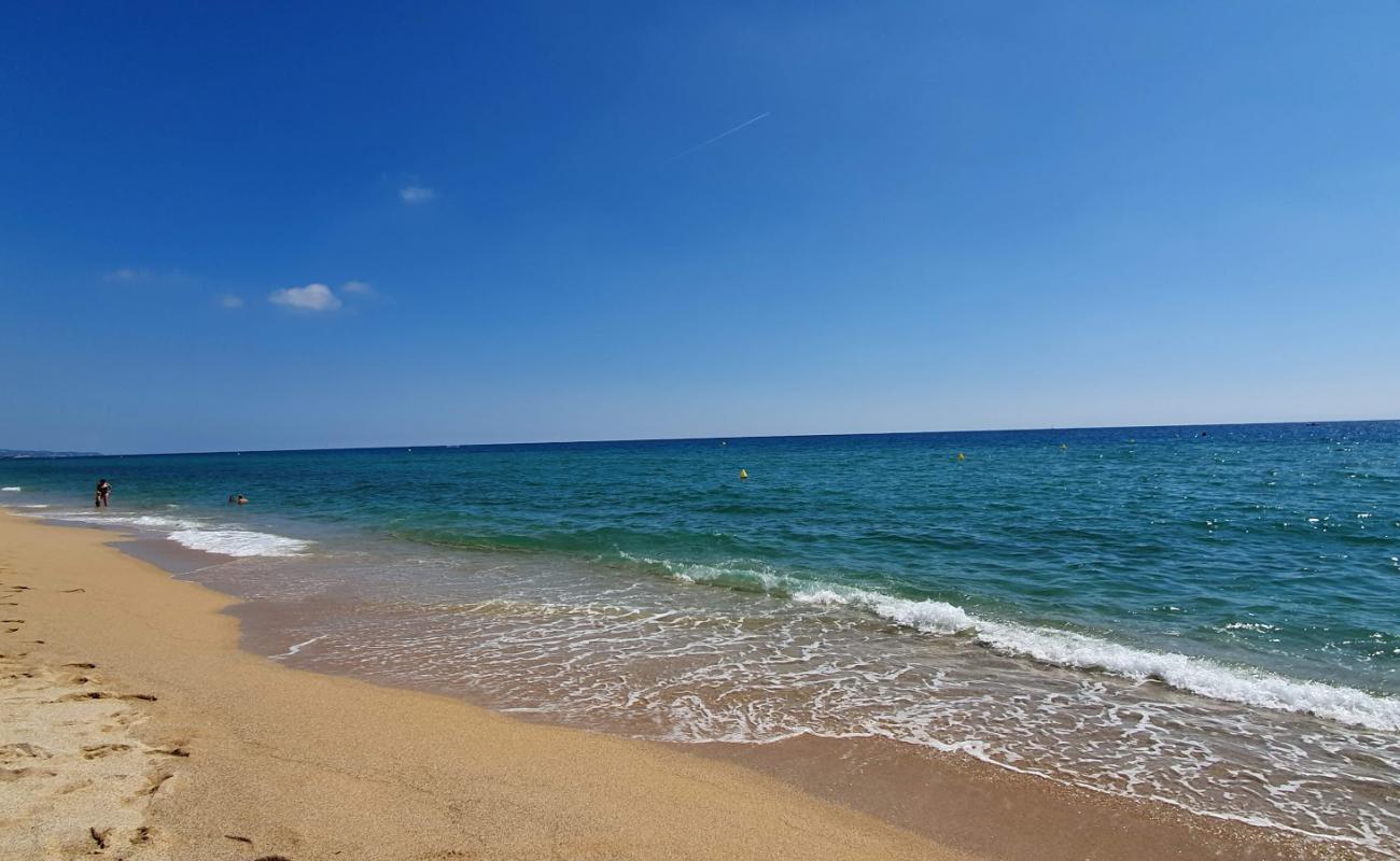 Foto af Platja Dels Vinyals med lys sand overflade