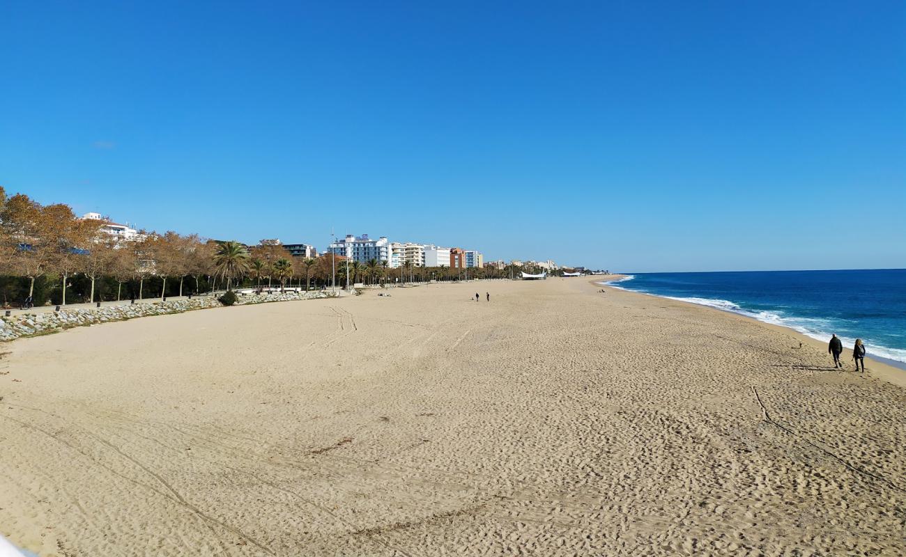 Foto af Calella Strand med lys sand overflade