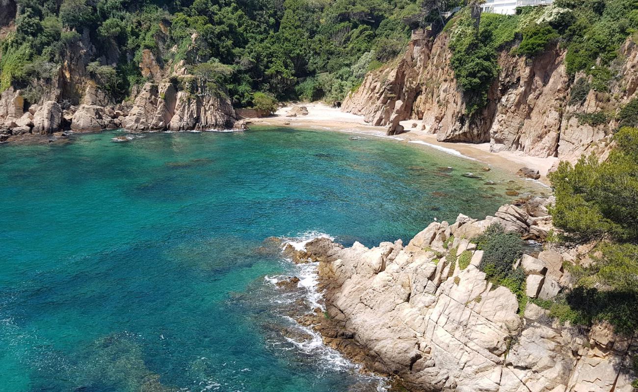 Foto af Cala Sa Forcanera med lys fint sand overflade