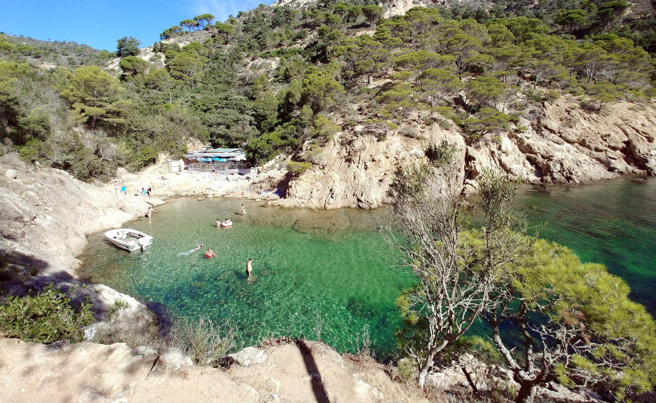 Foto af Cala Bona med sten overflade