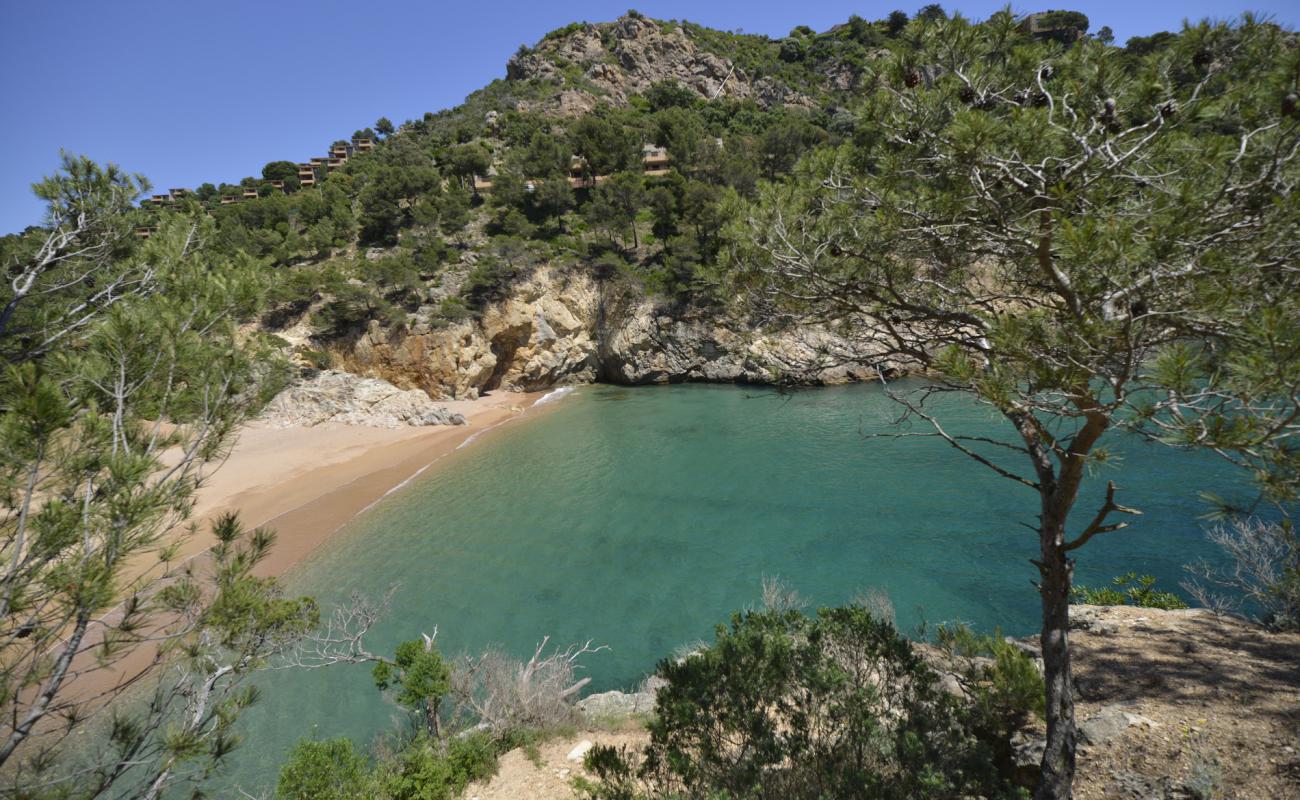 Foto af Cala Pola Strand med lys skaldesand overflade