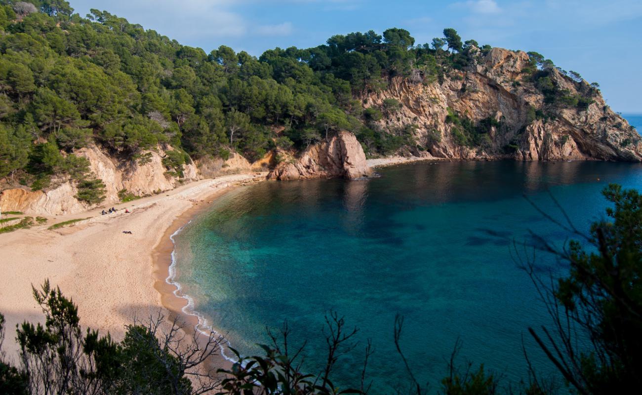 Foto af Stranden Cala Giverola med lys sand overflade