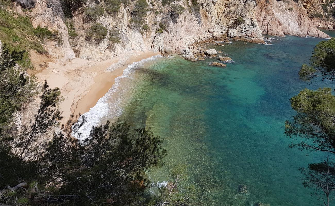 Foto af Cala Futadera med lys skaldesand overflade