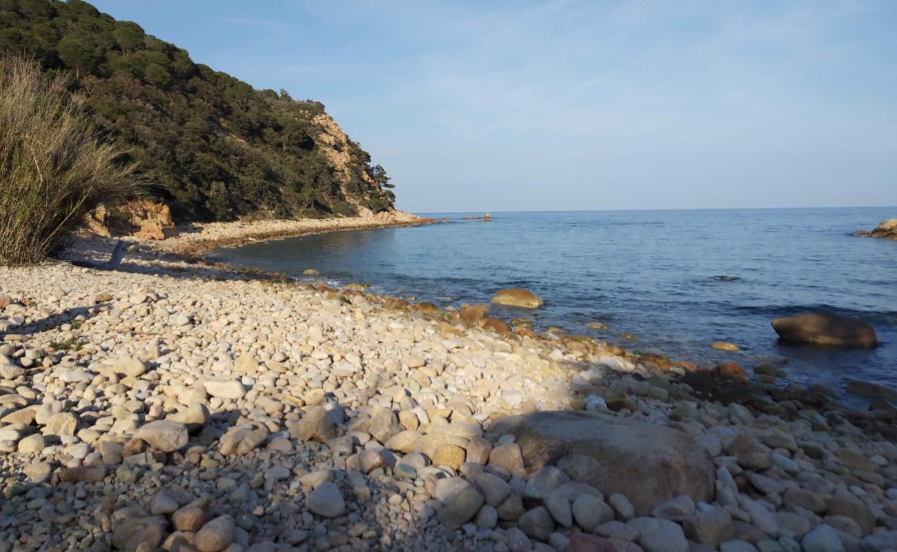 Foto af Platja de Vallpresona med brun sten overflade