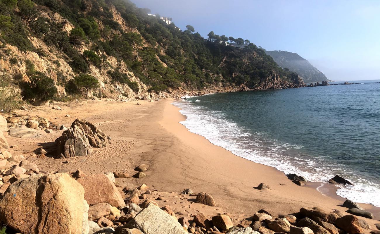 Foto af Stranden Cala Del Sr. Ramon med lys skaldesand overflade