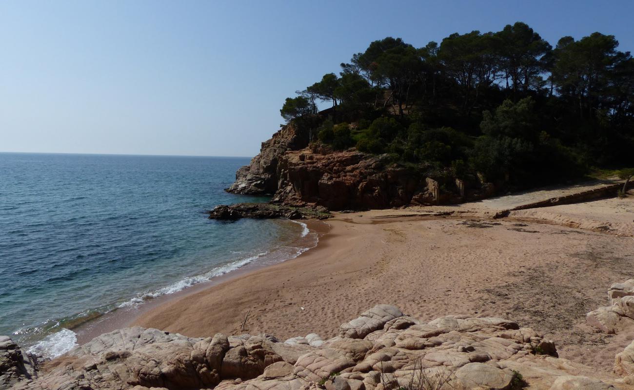 Foto af Platja dels Canyerets med lys skaldesand overflade