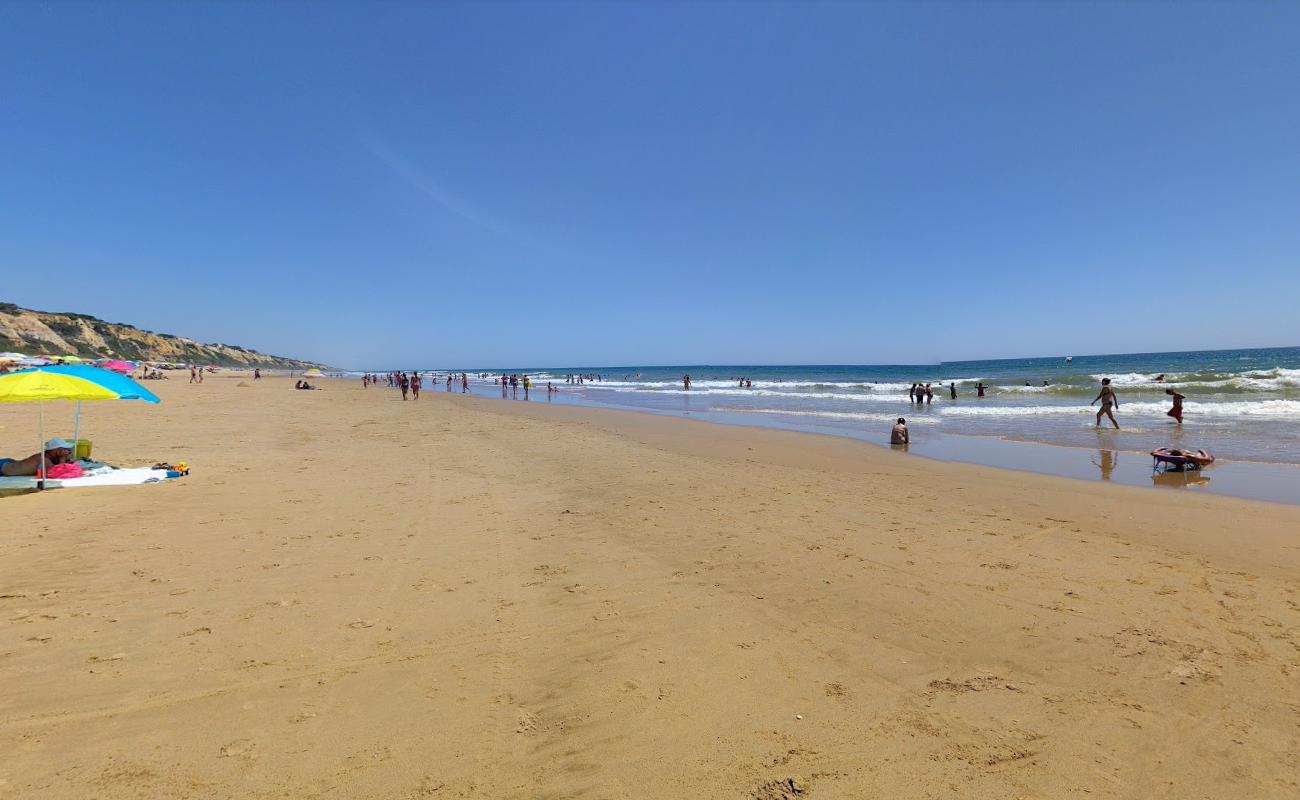 Playa de Rompeculos photo #7